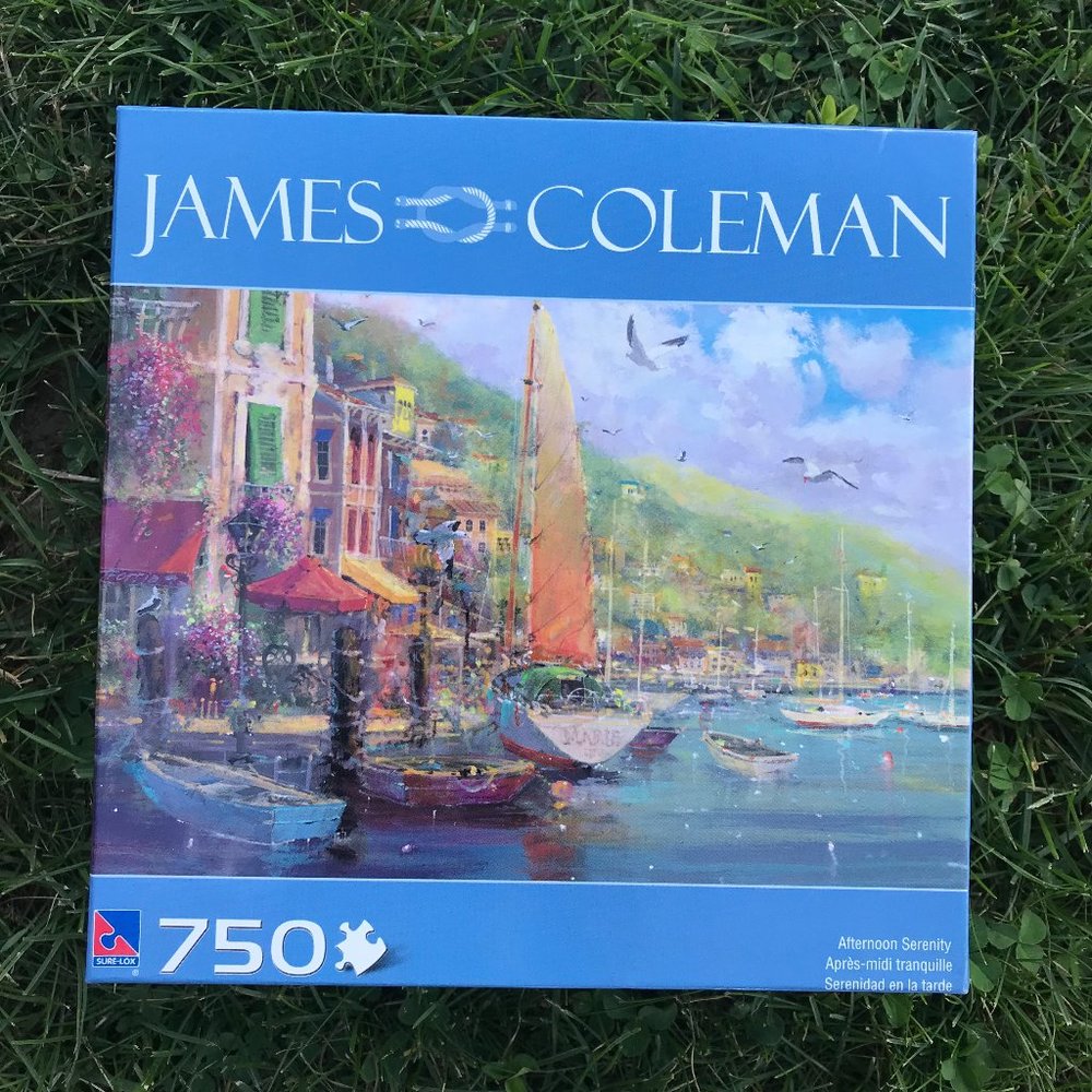 Afternoon Serenity - James Coleman - NEW